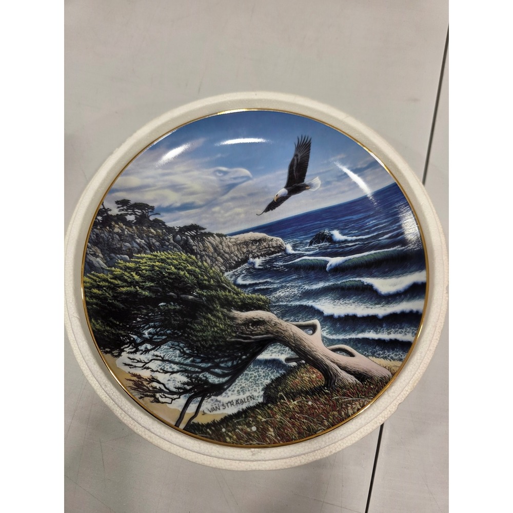 Van Straalen Eagle Cove Spirits of the Wild Collector Plate The Danbury Mint